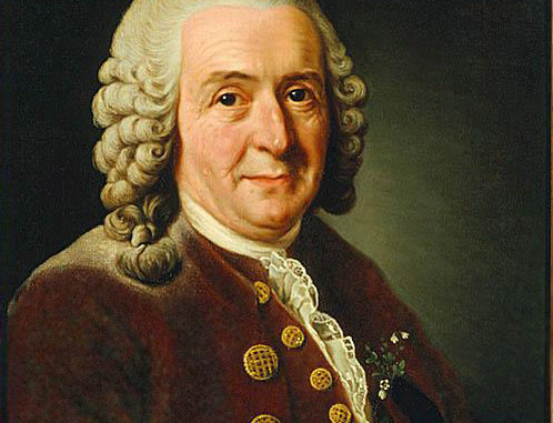 carolus_linnaeus_cleaned_up_version